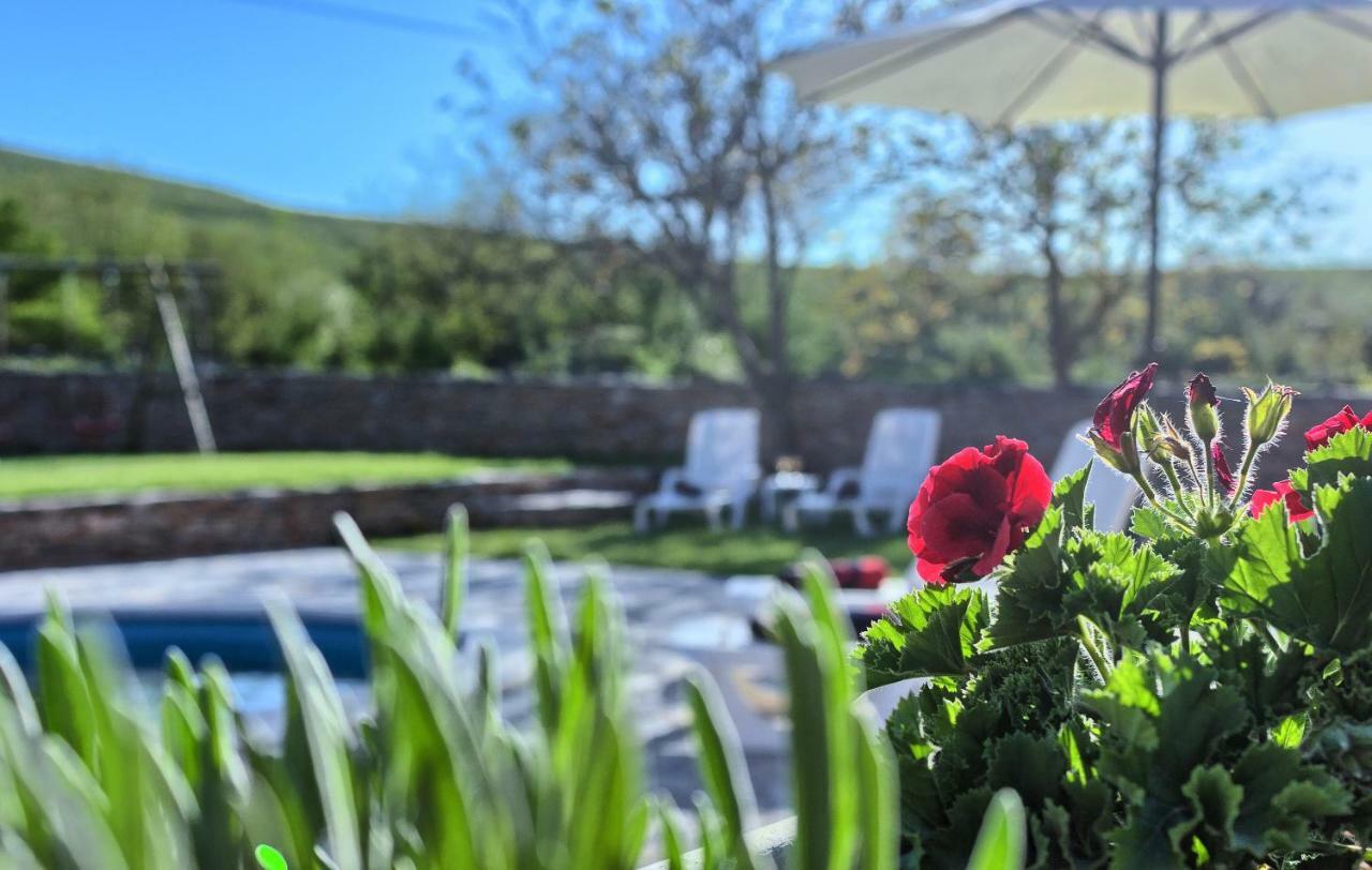 Dalmatia Stone House - Heated Pool